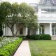 Dreamy Roses: The White House in Anaheim Rose Garden Oasis | The Ultimate Gardening Guide: Grow a Thriving Garden Year-Round