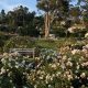 Explore the Santa Barbara Mission Rose Garden's Beauty! | The Ultimate Gardening Guide: Grow a Thriving Garden Year-Round