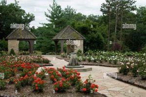 Visit the Best Rose Garden in Des Moines, Iowa | The Ultimate Gardening Guide: Grow a Thriving Garden Year-Round