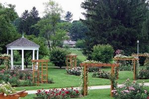 Visit Allentown Rose Garden: A Bloom-Filled Escape | The Ultimate Gardening Guide: Grow a Thriving Garden Year-Round