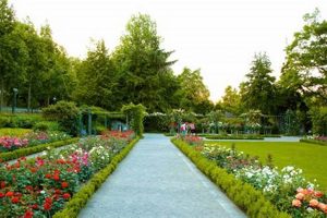 Visit Bern's Rose Garden: A Floral Paradise in Switzerland | The Ultimate Gardening Guide: Grow a Thriving Garden Year-Round