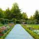 Visit Bern's Rose Garden: A Floral Paradise in Switzerland | The Ultimate Gardening Guide: Grow a Thriving Garden Year-Round