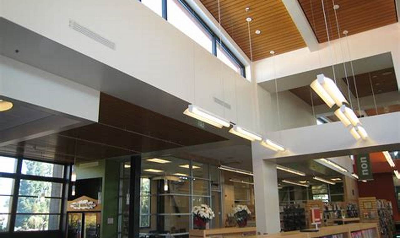 Unveiling the Rose Garden Library: A Presidential Rose Legacy | The Ultimate Gardening Guide: Grow a Thriving Garden Year-Round