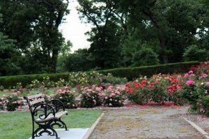Explore the Rose Garden Tulsa, OK: A Floral Paradise | The Ultimate Gardening Guide: Grow a Thriving Garden Year-Round
