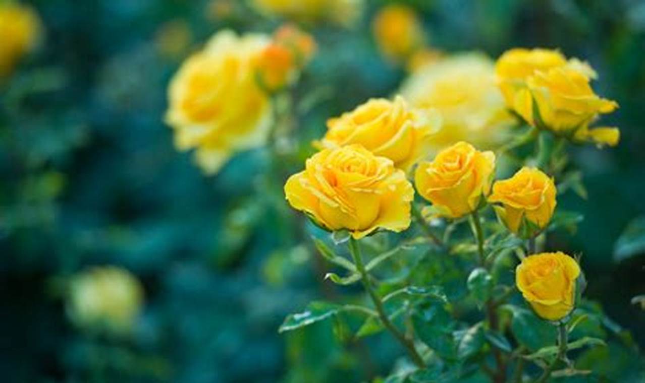 The Joyful Garden of Yellow Roses: A Bloom Guide The Ultimate Gardening Guide: Grow a Thriving Garden Year-Round The Joyful Garden of Yellow Roses: A Bloom Guide | The Ultimate Gardening Guide: Grow a Thriving Garden Year-Round
