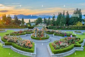 Discover Vancouver's UBC Rose Garden: A Floral Gem The Ultimate Gardening Guide: Grow a Thriving Garden Year-Round Discover Vancouver's UBC Rose Garden: A Floral Gem | The Ultimate Gardening Guide: Grow a Thriving Garden Year-Round