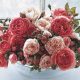 Best English Garden Roses: Varieties & Care Tips | The Ultimate Gardening Guide: Grow a Thriving Garden Year-Round