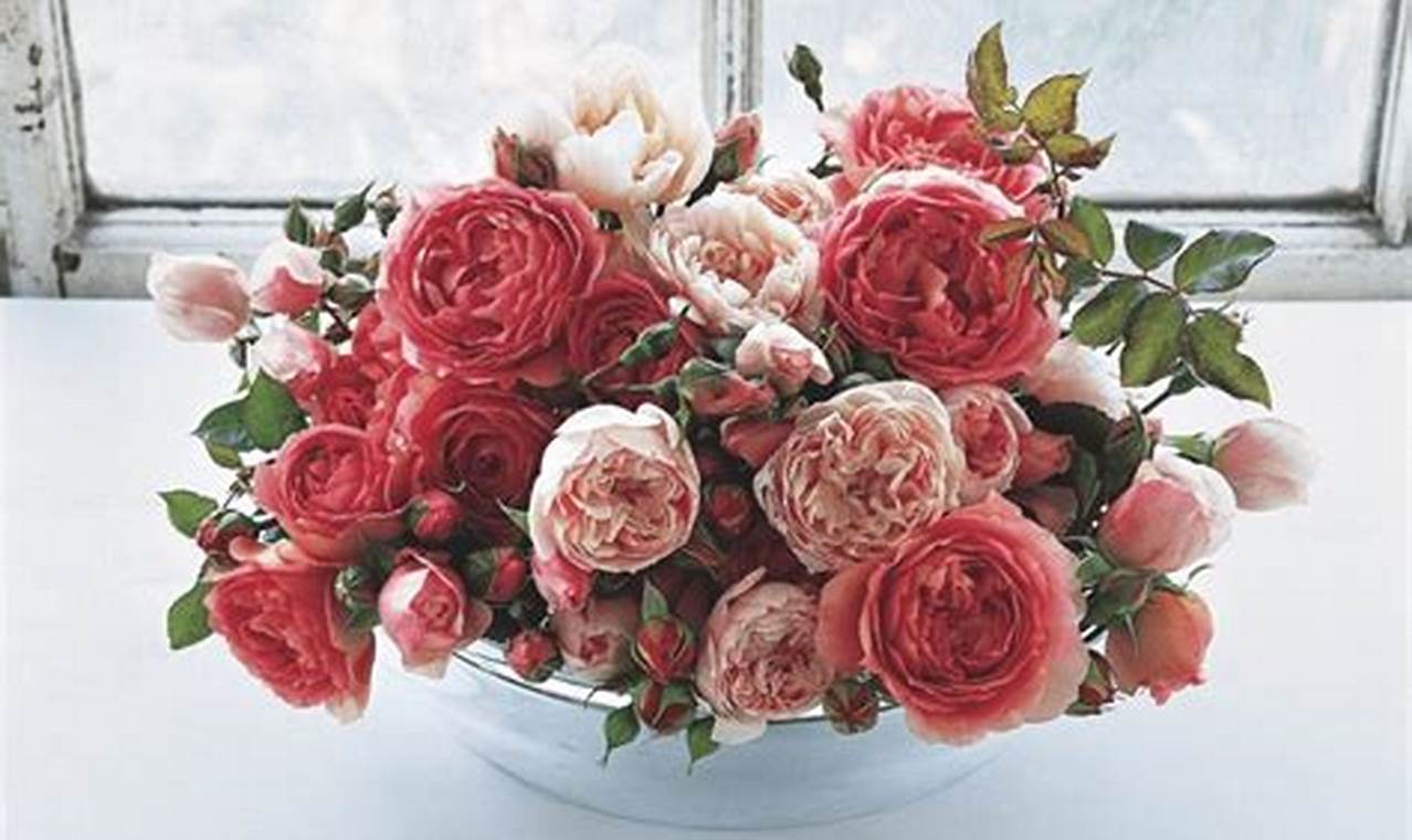 Best English Garden Roses: Varieties & Care Tips The Ultimate Gardening Guide: Grow a Thriving Garden Year-Round Best English Garden Roses: Varieties & Care Tips | The Ultimate Gardening Guide: Grow a Thriving Garden Year-Round