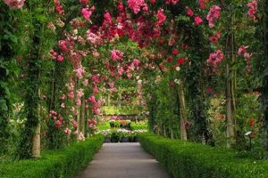 Rose Garden Wallpaper: Floral Decor &amp; More! | The Ultimate Gardening Guide: Grow a Thriving Garden Year-Round