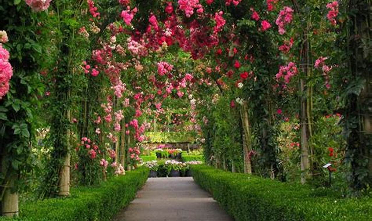Rose Garden Wallpaper: Floral Decor &amp; More! | The Ultimate Gardening Guide: Grow a Thriving Garden Year-Round