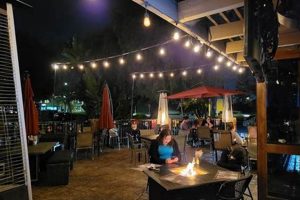 Best On The Rocks Bar & Grill Garden Grove CA: Deals & Drinks | The Ultimate Gardening Guide: Grow a Thriving Garden Year-Round