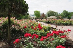 Visit Richmond Indiana Rose Garden: A Floral Paradise The Ultimate Gardening Guide: Grow a Thriving Garden Year-Round Visit Richmond Indiana Rose Garden: A Floral Paradise | The Ultimate Gardening Guide: Grow a Thriving Garden Year-Round