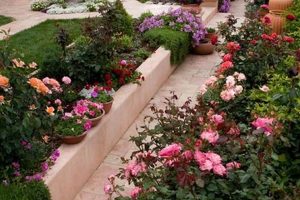 Grow Your Dream Backyard Rose Garden +Tips | The Ultimate Gardening Guide: Grow a Thriving Garden Year-Round