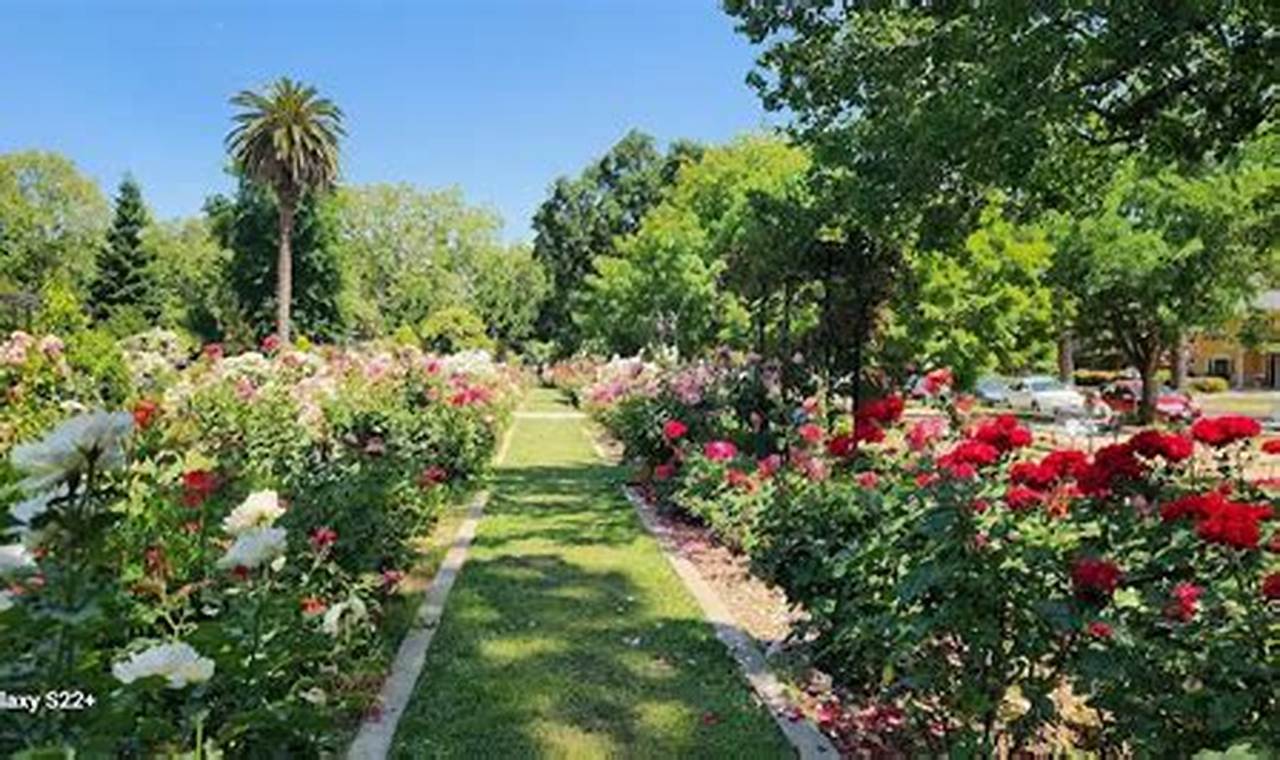 Visit McKinley Rose Garden: A Blooming Guide & More The Ultimate Gardening Guide: Grow a Thriving Garden Year-Round Visit McKinley Rose Garden: A Blooming Guide & More | The Ultimate Gardening Guide: Grow a Thriving Garden Year-Round