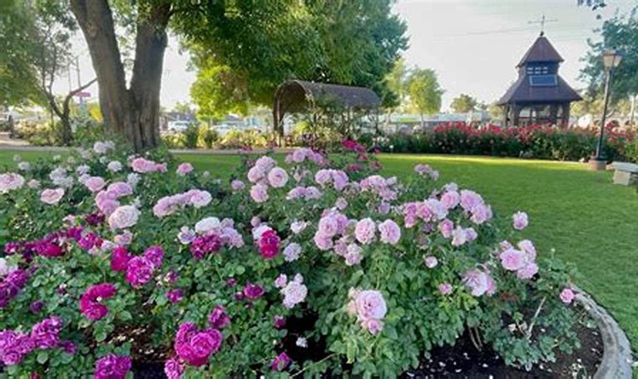 Visit Mesa Rose Garden: A Desert Bloom Oasis | The Ultimate Gardening Guide: Grow a Thriving Garden Year-Round