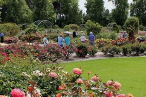 Plan Stunning Rose Garden Events: Ideas & Tips The Ultimate Gardening Guide: Grow a Thriving Garden Year-Round Plan Stunning Rose Garden Events: Ideas & Tips | The Ultimate Gardening Guide: Grow a Thriving Garden Year-Round