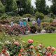 Plan Stunning Rose Garden Events: Ideas & Tips | The Ultimate Gardening Guide: Grow a Thriving Garden Year-Round