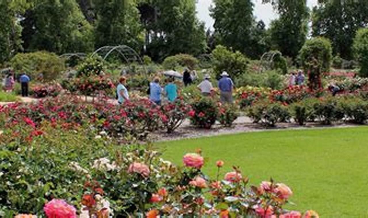 Plan Stunning Rose Garden Events: Ideas & Tips The Ultimate Gardening Guide: Grow a Thriving Garden Year-Round Plan Stunning Rose Garden Events: Ideas & Tips | The Ultimate Gardening Guide: Grow a Thriving Garden Year-Round