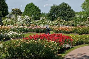 Explore: Queen Mary's Rose Garden, London's Blooms | The Ultimate Gardening Guide: Grow a Thriving Garden Year-Round