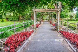 Visit the Rose Garden Tacoma, WA: A Floral Paradise! The Ultimate Gardening Guide: Grow a Thriving Garden Year-Round Visit the Rose Garden Tacoma, WA: A Floral Paradise! | The Ultimate Gardening Guide: Grow a Thriving Garden Year-Round