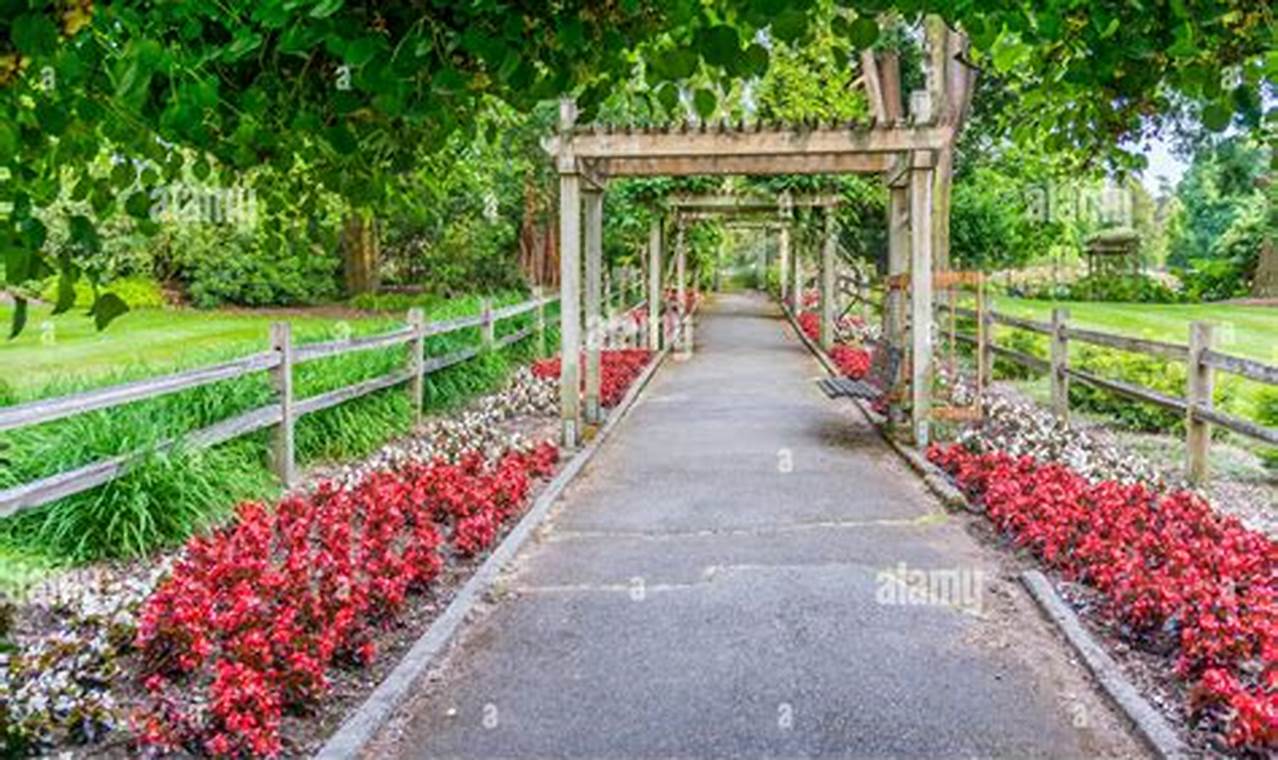 Visit the Rose Garden Tacoma, WA: A Floral Paradise! | The Ultimate Gardening Guide: Grow a Thriving Garden Year-Round