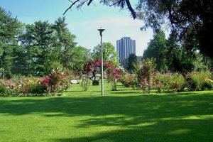 Visit the Exquisite Rose Garden in Bethlehem, PA Today! | The Ultimate Gardening Guide: Grow a Thriving Garden Year-Round