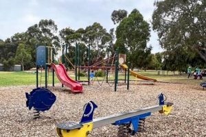 Dreamy Rose Garden Playground: Blooms & Fun! The Ultimate Gardening Guide: Grow a Thriving Garden Year-Round Dreamy Rose Garden Playground: Blooms & Fun! | The Ultimate Gardening Guide: Grow a Thriving Garden Year-Round