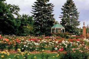 Visit War Memorial Rose Garden: A Floral Tribute The Ultimate Gardening Guide: Grow a Thriving Garden Year-Round Visit War Memorial Rose Garden: A Floral Tribute | The Ultimate Gardening Guide: Grow a Thriving Garden Year-Round