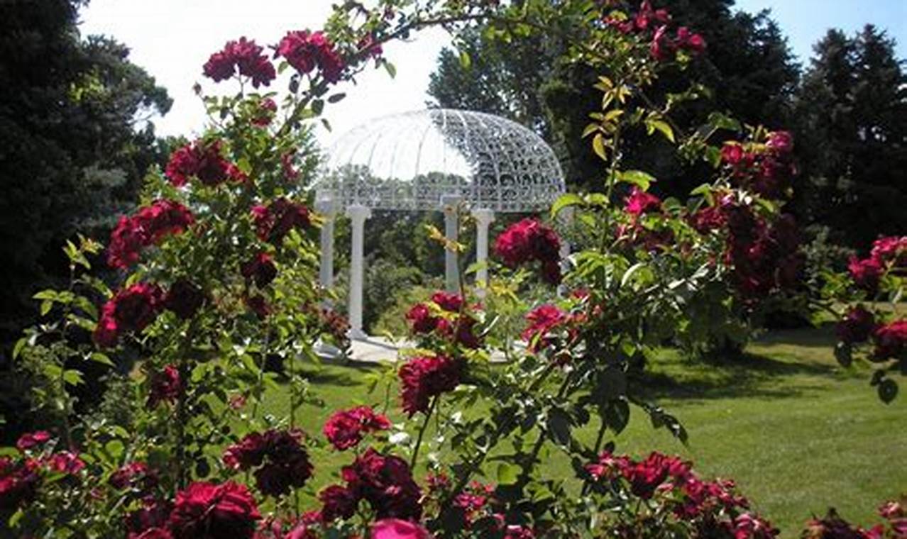 Grow Gorgeous Rose Garden Zapata: Care & Beauty! | The Ultimate Gardening Guide: Grow a Thriving Garden Year-Round