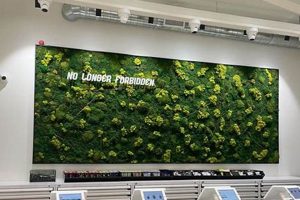 Discover Garden of Eden in Tracy, CA: Your Paradise Awaits | The Ultimate Gardening Guide: Grow a Thriving Garden Year-Round