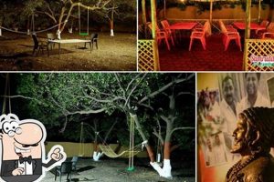 Best Family Garden Restaurant Near You: [Your City] Dining! | The Ultimate Gardening Guide: Grow a Thriving Garden Year-Round