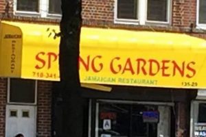 DC's Spring Garden Restaurant: Fresh & Local Eats | The Ultimate Gardening Guide: Grow a Thriving Garden Year-Round