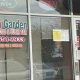 Authentic Asian Garden Chinese Restaurant Near You | The Ultimate Gardening Guide: Grow a Thriving Garden Year-Round