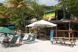 Dine at Cane Garden Bay: Top Restaurants & Beach Eats The Ultimate Gardening Guide: Grow a Thriving Garden Year-Round Dine at Cane Garden Bay: Top Restaurants & Beach Eats | The Ultimate Gardening Guide: Grow a Thriving Garden Year-Round