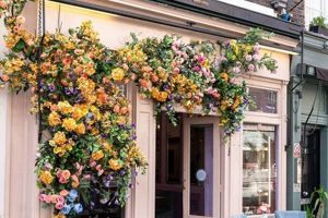 Dine at Violas Restaurant: Covent Garden's Floral Gem The Ultimate Gardening Guide: Grow a Thriving Garden Year-Round Dine at Violas Restaurant: Covent Garden's Floral Gem | The Ultimate Gardening Guide: Grow a Thriving Garden Year-Round