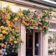 Dine at Violas Restaurant: Covent Garden's Floral Gem | The Ultimate Gardening Guide: Grow a Thriving Garden Year-Round