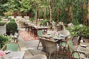 Discover New Restaurants in Garden City, NY: Dining Guide | The Ultimate Gardening Guide: Grow a Thriving Garden Year-Round