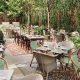 Discover New Restaurants in Garden City, NY: Dining Guide | The Ultimate Gardening Guide: Grow a Thriving Garden Year-Round
