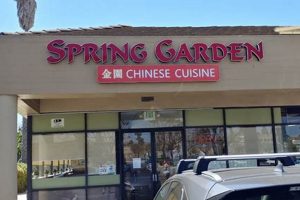 Dine at Spring Garden: Authentic Chinese in Ventura | The Ultimate Gardening Guide: Grow a Thriving Garden Year-Round