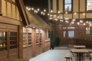 Your Local Village Hall Restaurant & Beer Garden: Dine & Relax! | The Ultimate Gardening Guide: Grow a Thriving Garden Year-Round