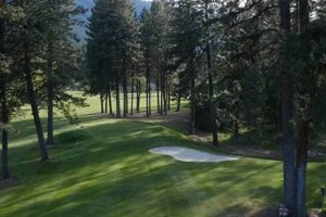 Find Garden Valley Hotels: Your [Adjective] Getaway | The Ultimate Gardening Guide: Grow a Thriving Garden Year-Round