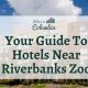 Best Hotels Near Riverbanks Zoo & Garden: Your Stay! | The Ultimate Gardening Guide: Grow a Thriving Garden Year-Round