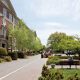 Find Hotels Near Adelphi University: Your Garden City Stay | The Ultimate Gardening Guide: Grow a Thriving Garden Year-Round