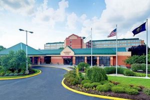 Stay Near PHL: Wyndham Garden Hotel Essington Deals | The Ultimate Gardening Guide: Grow a Thriving Garden Year-Round