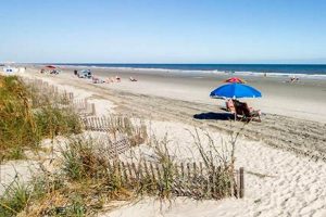 Garden City Beach: Best Pet Friendly Hotels SC Near You The Ultimate Gardening Guide: Grow a Thriving Garden Year-Round Garden City Beach: Best Pet Friendly Hotels SC Near You | The Ultimate Gardening Guide: Grow a Thriving Garden Year-Round