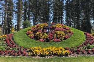 Best Hotels Near International Peace Garden: Your Guide The Ultimate Gardening Guide: Grow a Thriving Garden Year-Round Best Hotels Near International Peace Garden: Your Guide | The Ultimate Gardening Guide: Grow a Thriving Garden Year-Round