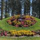 Best Hotels Near International Peace Garden: Your Guide | The Ultimate Gardening Guide: Grow a Thriving Garden Year-Round