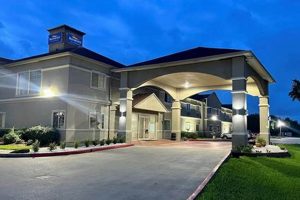 Garden City, TX Hotels: Find Your Best Local Stays The Ultimate Gardening Guide: Grow a Thriving Garden Year-Round Garden City, TX Hotels: Find Your Best Local Stays | The Ultimate Gardening Guide: Grow a Thriving Garden Year-Round