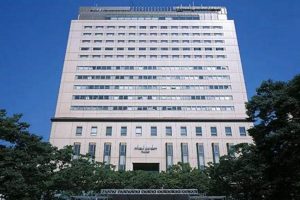 Your Chiba Stay: Mitsui Garden Hotel Chiba - Deals & Info | The Ultimate Gardening Guide: Grow a Thriving Garden Year-Round