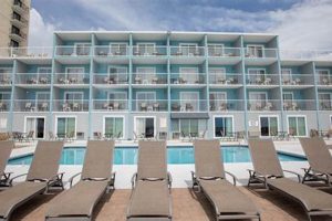 Best Hotels at Garden City SC: Your Ultimate Guide | The Ultimate Gardening Guide: Grow a Thriving Garden Year-Round